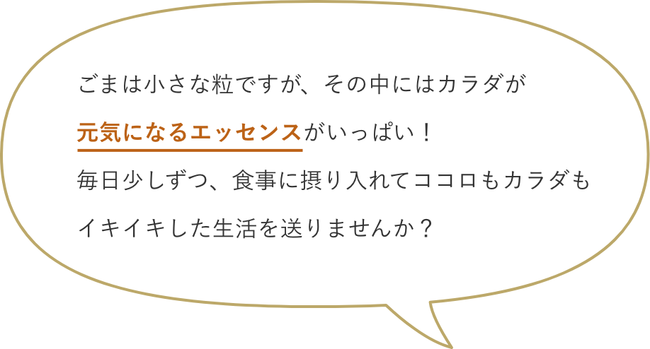 ごまは小さな粒ですが、その中にはカラダが元気になるエッセンスがいっぱい！毎日少しずつ、食事に摂り入れてココロもカラダもイキイキした生活を送りませんか？